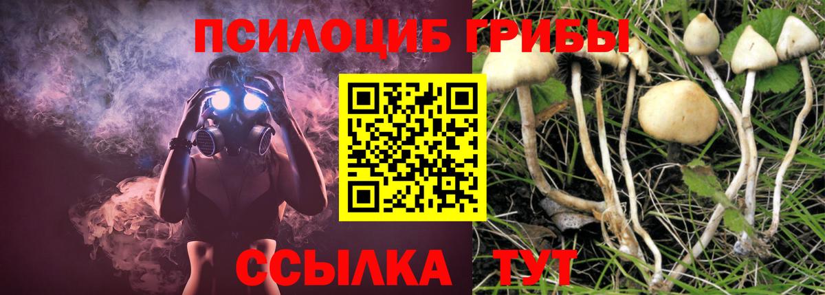 Псилоцибиновые грибы Psilocybe  Вход с VPN  Асбест  как найти закладки  Псилоцибиновые грибы мухоморы 